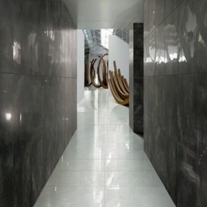 granitogres_seria_brown_extra_shine-700x700
